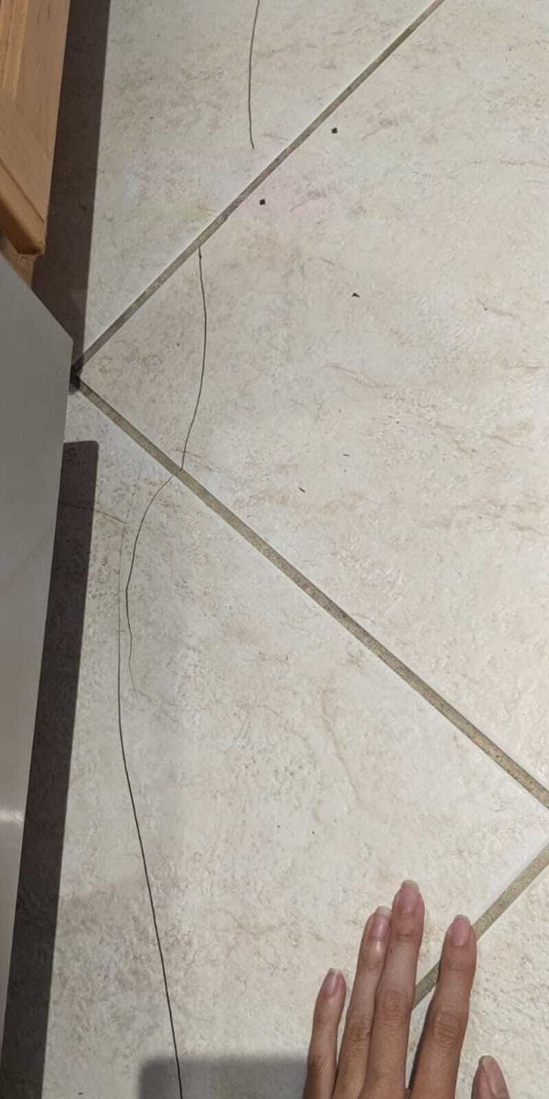 Mouldy black grout in shower corner before treatment